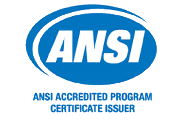 semsa-gruas_viajeras-polipastos-eslingas-certificaciones-ansi-002